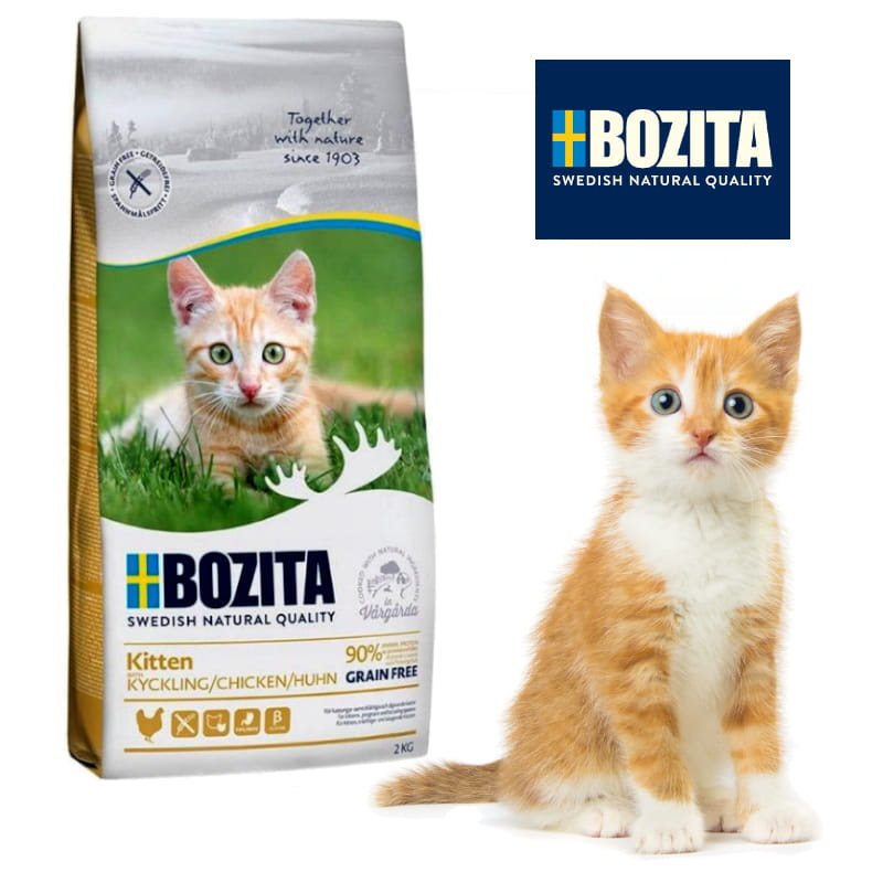kitten 2kg kot logo.jpg